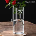 20cm tall 1000ml cylindrical clear borosilicate glass vase for hydroponics and flowers - D8.5cm*H20cm (1000ML)