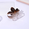 Détail d'une pince à cheveux fleur de 8cm avec dégradé marron et design transparent - 8CM Style Dégradé Frangipanier / Marron