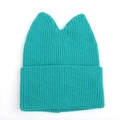 Close-up of mint green knitted beanie featuring cute cat ears and thick ribbed texture - M (56-58cm) / Cyan Blue