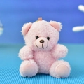 Adorable soft pink plush teddy bear keychain pendant for bags, cute gift idea for girls - 12cm (Bead Chain) / Pink