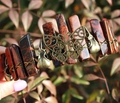 Viking crown headband with red crystal stones, brass butterfly and bird skulls - Butterfly Raven Skull Style / Golden Swan Stone/Antique Bronze Wire