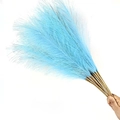 Hand holding fluffy blue 55cm artificial pampas grass bouquet with realistic brown stems - 53-55cm / Lake Blue