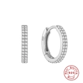Luxurious S925 sterling silver hoop earrings with double-row micro-set zircon in silver - 925 Silver / Platinum Color - Style 4