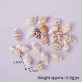 Natürliche Spiralmuscheln mit Muster, Größe 1,3x0,7cm auf hellviolettem Hintergrund - Mit Loch