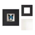 Deep 5cm wooden butterfly shadow box frame with real glass and emerald swallowtail specimen - 4x6 inch / 3cm Hollow / Black