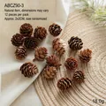 Set of 12 natural brown pine cones for Christmas DIY crafts and home decoration - Natural Mini Pinecones/12pcs