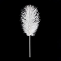 Natural white ostrich feather cake topper with pearls and silk ribbon bow decoration - Beige / 1 Pc