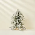 Mini tabletop artificial flocked Christmas tree with realistic snow and wooden base - Snow Flocked Naked Tree