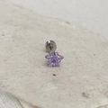 Titanium steel cartilage stud earring with silver star-shaped purple zircon inlay - 5mm Zircon (Single) / Light Purple