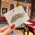 Pince à cheveux plume argentée avec strass scintillants pour coiffure élégante - Plume d'argent