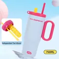 750ml blue and pink dual-drink insulated tumbler with straw and integrated tea filter - Blue 750ml