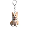 Cute Corgi acrylic keychain featuring yellow and white colors and silver metal keyring - 33-Yellow White Corgi