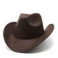 Classic dark brown wool felt western cowboy hat with cattle head ornament and wide curved brim - One Size 58cm / Plain Style / Coffee