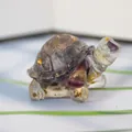 Miniature turtle figurine in purple and green fluorite resin with decorative gold foil - Fluorite + Gold Foil