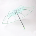 Mint green transparent long umbrella with cherry blossom prints and matching frame - Standard Green