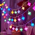 Solar powered multi-color LED star lights with festive lantern shaped bulbs in pink and blue - Crystal Lantern (colorful) / Battery Steady (1.5m 10LED)