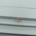 Anello doppio cuore minimalista in argento S925 oro rosa, regolabile per donna - Aperto Regolabile / Oro rosa