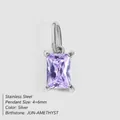 Silver stainless steel pendant with rectangle purple cubic zirconia for jewelry - June Light Purple / Silver