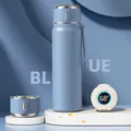 550ml Serene Blue Smart Insulated Water Bottle with LED Temperature Display - 550ml / Smart Temperature Display / Serene Blue