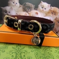 Detail of leopard print pet collar with gold buckle and a cute hollow cat paw pendant - 25-38M / Choker Necklace / Black