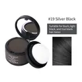 MAYCHEER Hairline Shadow Powder in Shade #19 Silver Black with soft sponge applicator - 19# Silver Black