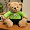 Plush teddy bear toy wearing green panda hoodie and black shorts on wooden desk - Panda Holding Bamboo Hoodie Set / Green