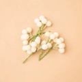Frosted white decorative berries with green wire stems for DIY Christmas floral arrangements - 1cm Crystalline White Berry String