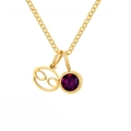 18K gold plated Cancer zodiac necklace with purple gemstone pendant on white background - June