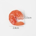 Realistisch PVC mini-garnalenstaartmodel voedselreplica met afmetingen 2,8 cm bij 2,5 cm - Kleine Rode Garnalenvlees (Zonder Gesp) / Rood