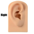 Flesh-colored silicone right ear model for earring display and medical teaching use - Flesh Color Right Ear