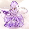 Molletta per capelli a fiore di frangipane da 4cm sfumata viola in acrilico trasparente - 8cm / Viola Trasparente
