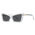Modern transparent cat-eye sunglasses with dark grey lenses and metallic temple accents - Transparent Gray Frame/Black-Gray Lens