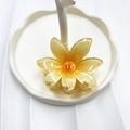 Translucent amber flower claw clip with glossy finish for elegant hair styling - Yellow (Sun Flower)