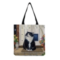 Gatto Gufo sulla Soglia (hm2895)