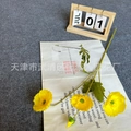 Artificial yellow poppy branch with three blooming flowers and one bud on vintage paper - Yellow