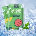 Patch de refroidissement en sachet pastèque vert avec 2 pièces pour soulagement - Goût Pastèque (Q255) / 2 Pcs/Sac