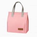 Pink insulated lunch bag with grey straps and durable waterproof fabric for commuters - Cationic Minimalist Bag / Coral Pink