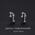 Aquarius zodiac stud earrings in 999 sterling silver with sparkling cubic zirconia crystals - Aquarius