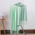 Mint green cashmere scarf with fringe details presented on a minimalist display stand - No.23 Light Green