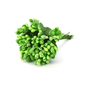 Artificial green berry stem bundles for DIY crafts and home festive floral arrangements - Large Bag / Fruit Green
