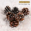Set de 6 piñas naturales con efecto nieve para decoración de árbol de Navidad con cordones - Pack de 6 / 4-5cm