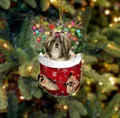 Weihnachtsstrumpf-Anhänger aus Acryl mit Shih Tzu und bunten festlichen Lichtern - Shih Tzu Typ 3