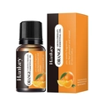 Huile essentielle d'orange naturelle flacon de 10ml avec boîte d'emballage assortie - Orange douce / 10ml