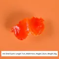 Modèle de sushi Ark Shell orange réaliste, jouet de 7x4x2,8cm sur un fond orange vif - Sushi de Coque Rouge