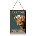 Rustic wooden highland cow bathroom sign with 'Are you pooping?' text and hanging rope - Blue-green Background Highland Cow (Y24Y50427_Q)