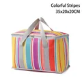 Große bunt gestreifte Kühltasche mit grauen Griffen, Abmessungen 35x20x20CM - Regenbogen Gestreift