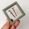 PE film jewelry display box with gold and silver twisted texture stud earrings set - Avocado Green / Round Base (1pc)