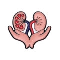 Kreative Anatomie Niere Emaille Pin mit Händen die ein medizinisches Abzeichen halten - Nierenschutz-Stil (XZ8435)