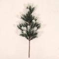Artificial flocked pine branch with realistic snow frost for Christmas decor - Snow Flocked PE Teardrop Swag