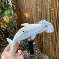 Vista macro de una pinza para el pelo de tiburón martillo blanco con acabado translúcido - Tiburón Martillo Gris